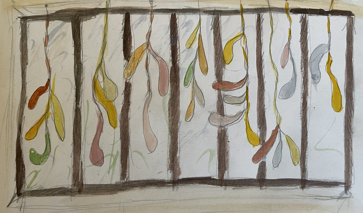 Croquis future installation - Réalisations sur Commande