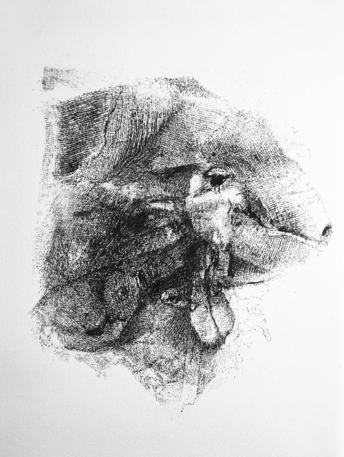 Déplier l'animal Bestiaire à écailles 1_32x25cm_2023 - Vendue - Bestiaire – Empreintes sur papier