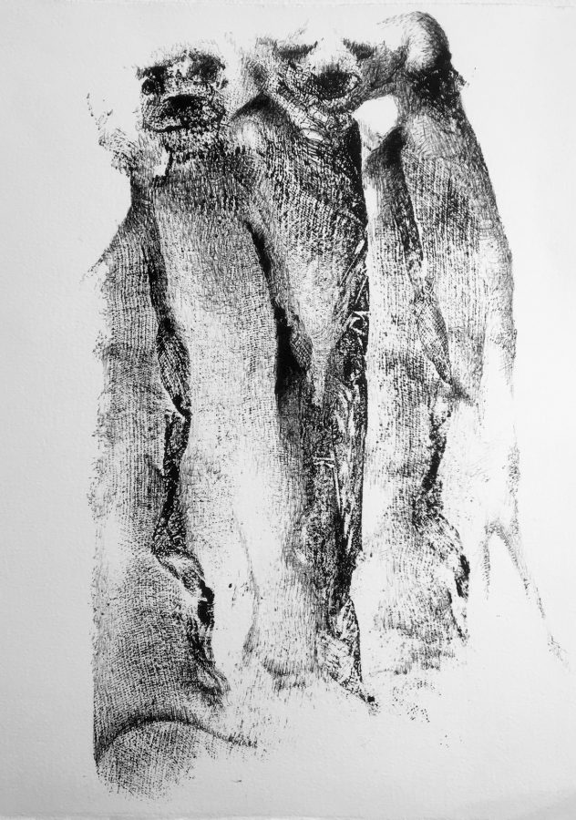 Déplier l'animal Bestiaire à poils 1_32x25cm_2023 - Bestiaire – Empreintes sur papier