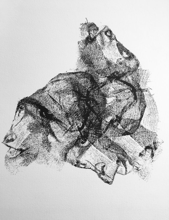 Déplier l'animal Bestiaire à poils 2_32x25cm_2023 - Bestiaire – Empreintes sur papier
